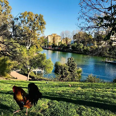 公寓 Edificio Hercules 贝纳尔马德纳