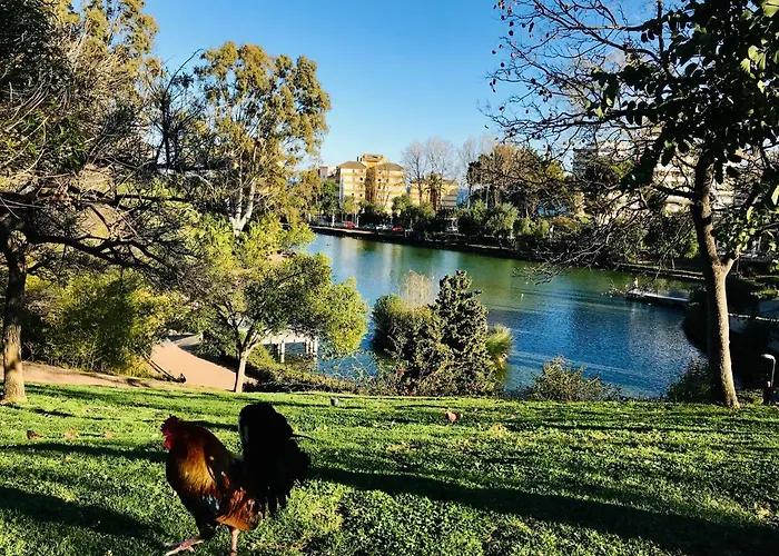 Апартаменты Edificio Hercules Бенальмадена